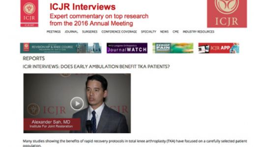 ICJR Interviews